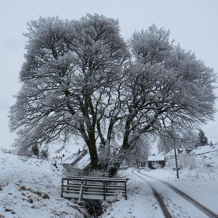 Forget Me Not Cottage Leadhills 외부 사진